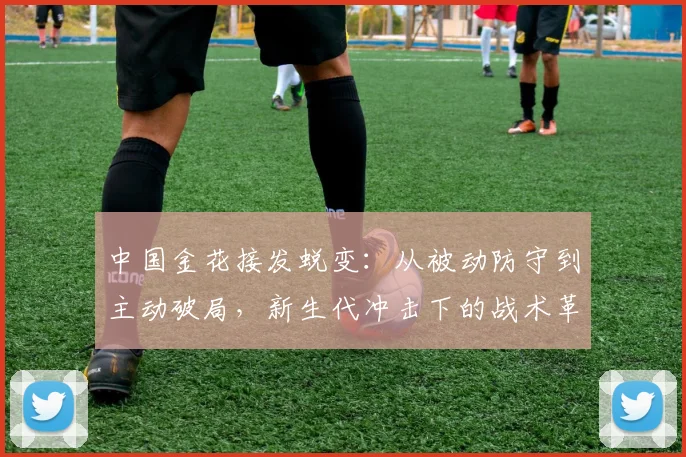 中国金花接发蜕变：从被动防守到主动破局，新生代冲击下的战术革命 - 2026世界杯推荐