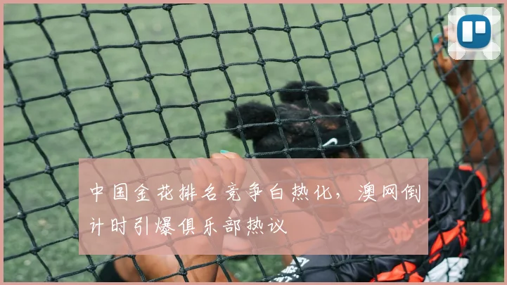 中国金花排名竞争白热化，澳网倒计时引爆俱乐部热议 - 2026世界杯推荐