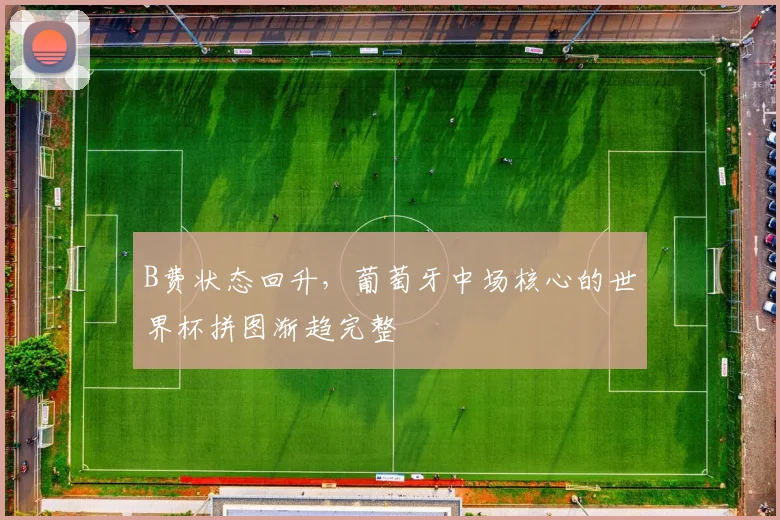 B费状态回升，葡萄牙中场核心的世界杯拼图渐趋完整 - 2026世界杯推荐