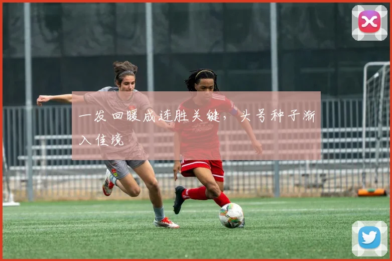 一发回暖成连胜关键，头号种子渐入佳境 - 2026世界杯推荐